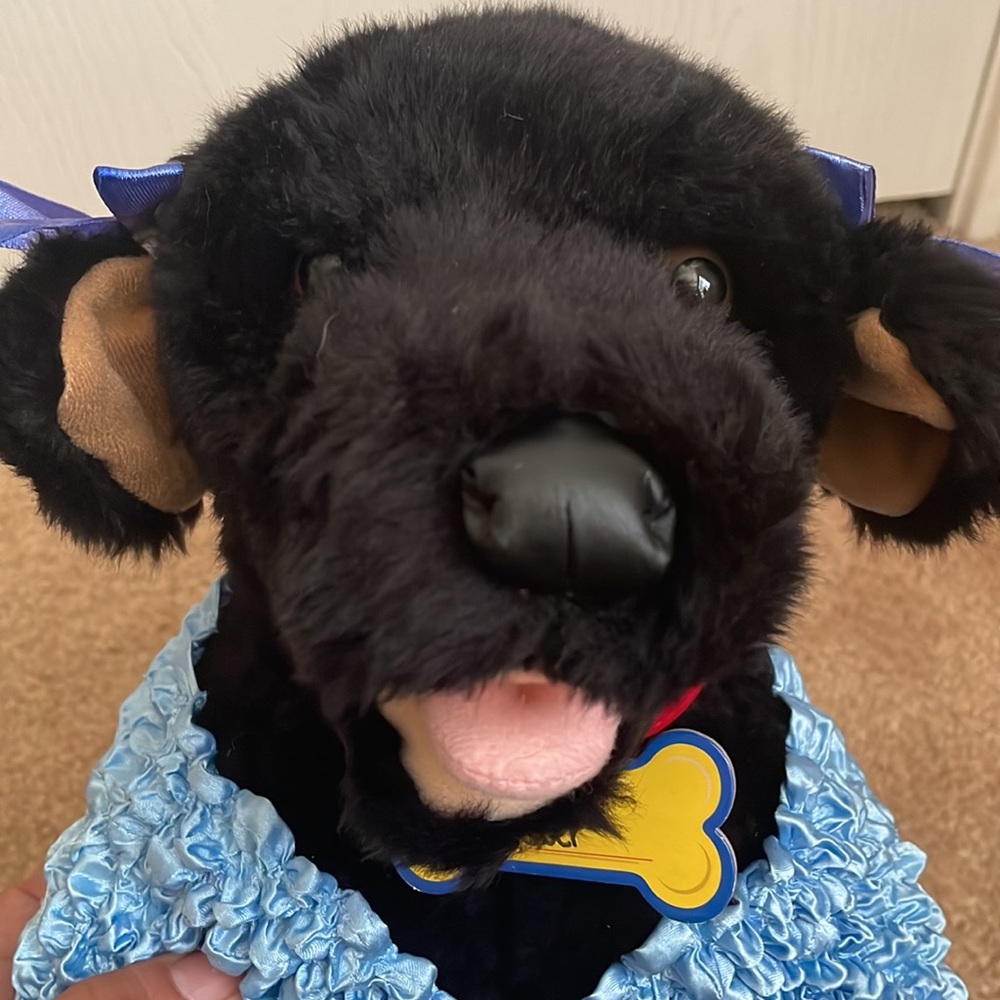 Build a bear - Picture 4 of 4